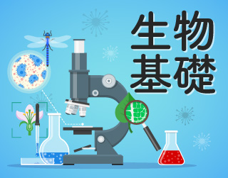 生物基礎